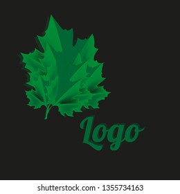 The figure is in the form of two leaves, leaves of green color, with different shades of green. Logo for a new company, institution.