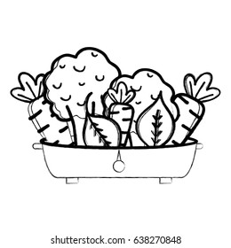 figure fresh and delicious vegetables inside of pot