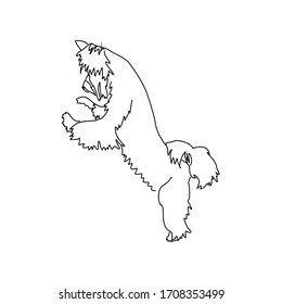 Figure haircut Yorkshire Terrier. Vector image of a standing dog.