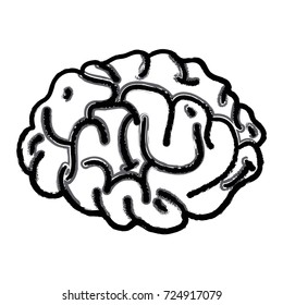 figure human brain anatomy to creative and intellect