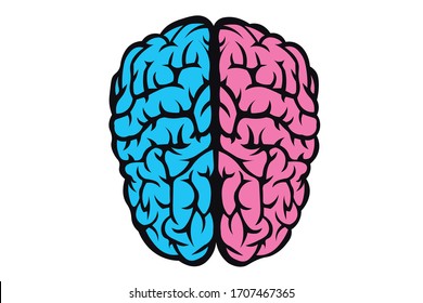 The figure of human brain separates half blue pink background. The concept of male and female brain. The idea for brain union or difference of man and woman in love, life, science, medicine or anatomy