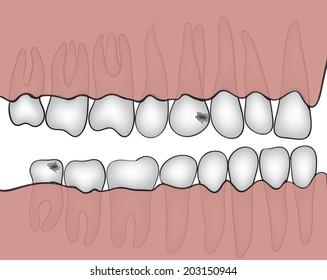 Figure jaw with teeth closeup made in vector graphics