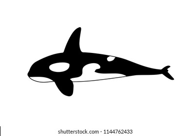 figure killer whales. vector illustration