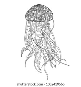 the figure of Medusa in the style of doodle  black outlines with small patterns on a white background