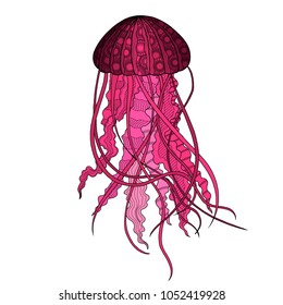 the figure of Medusa in the style of doodle  black outlines with small patterns on a white background painted in pink color