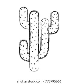 figure natural cactus summer plant desert