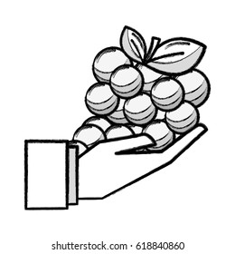 figure organic grape fruit in the hand icon