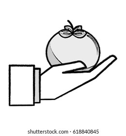 figure organic tomato vegetable in the hand icon