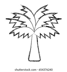 figure palm tree with leaves and vegetation
