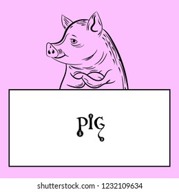 Figure pig and empty white frame for records, character on a pink background, vector