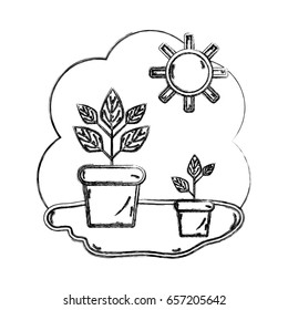 figure plants inside of flowerpot with sunny weather
