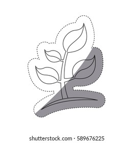 figure plants with leaves icon image, vector illustration design
