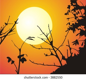 The figure representing an evening landscape: black branches on a background of the sky in orange both red tones and hot white with yellow the sun