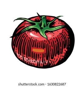 Figure ripe tomato. Isolated vector on a white background. Bright saturated contrast. Garden vegetable. Design element for labels, packaging. Farm product.
