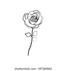 figure rose with leaves icon, vector illustraction design
