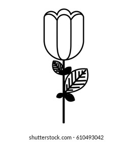 figure rose with square petals icon, vector illustraction design