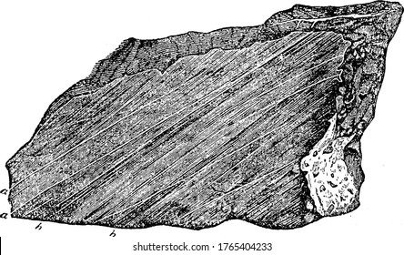 Figure showing a limestone, which is a sedimentary rock composed primarily of calcium carbonate (CaCO3) in the form of the mineral calcite, vintage line drawing or engraving illustration.