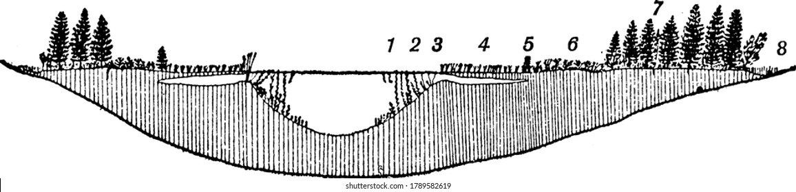 Figure showing a small body of still water formed naturally, called pond, vintage line drawing or engraving illustration.