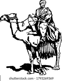 Figure showing a young man riding camel in desert, vintage line drawing or engraving illustration.