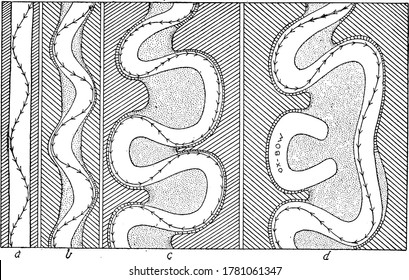 Figure showing the zigzag flow of river, also called meanders of river, vintage line drawing or engraving illustration.