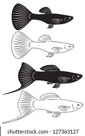 The figure shows the aquarium fish