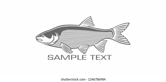 the figure shows the  asp fish