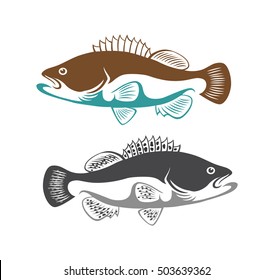 the figure shows a bass fish