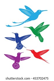 The figure shows a bird colibri