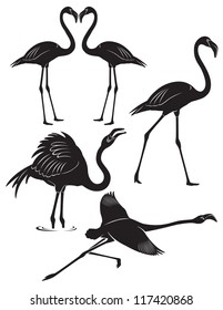 The figure shows a bird flamingo