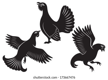 the figure shows the bird grouse