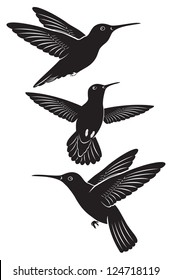 The figure shows a bird hummingbird