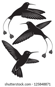 The figure shows a bird hummingbird