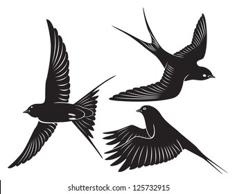 The figure shows a bird swallow