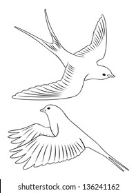 The figure shows a bird swallow