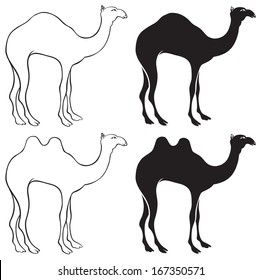 the figure shows a camel