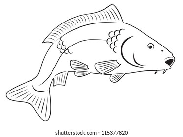 the figure shows the carp fish