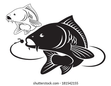 The Figure Shows The Carp Fish