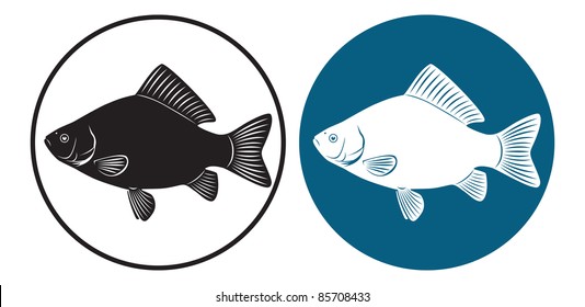 the figure shows a carp fish