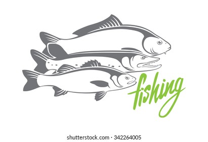 The figure shows the carp, pike, perch