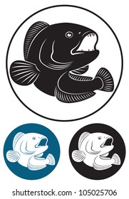 the figure shows a catfish