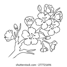 The figure shows the cherry