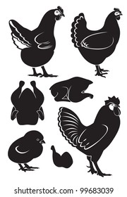 the figure shows the chicken