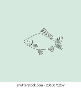 The figure shows a crucian fish