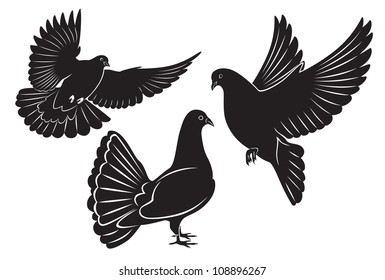 the figure shows a dove