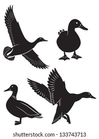 the figure shows the duck