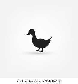 the figure shows the duck