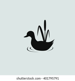 the figure shows the duck