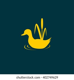 the figure shows the duck