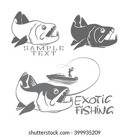 the figure shows exotic fishing