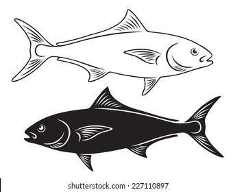 The Figure Shows A Fish Amberjack